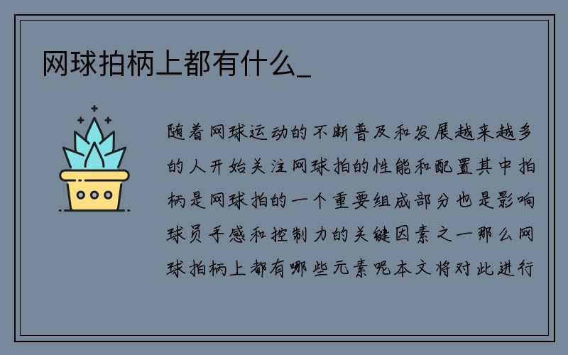 网球拍柄上都有什么_