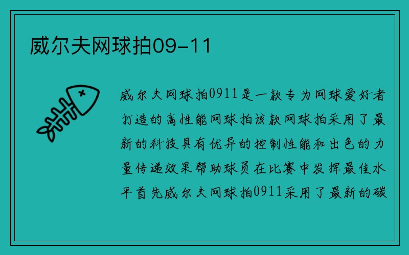 威尔夫网球拍09-11