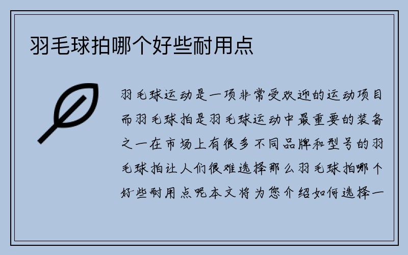 羽毛球拍哪个好些耐用点