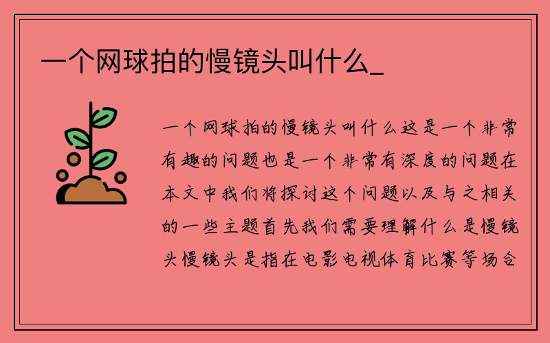 一个网球拍的慢镜头叫什么_